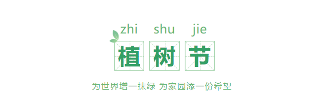 植树节 | 探索生态 守护绿色 植树节 | 探索生态 守护绿色